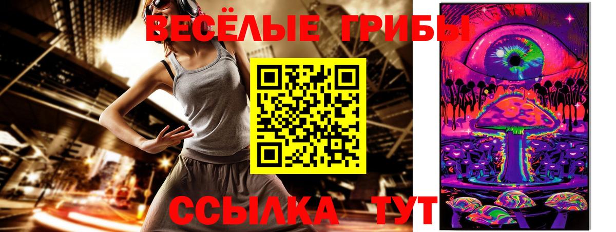 купить наркотики цена  Псилоцибиновые грибы прущие грибы  Вход с VPN  Шадринск 
